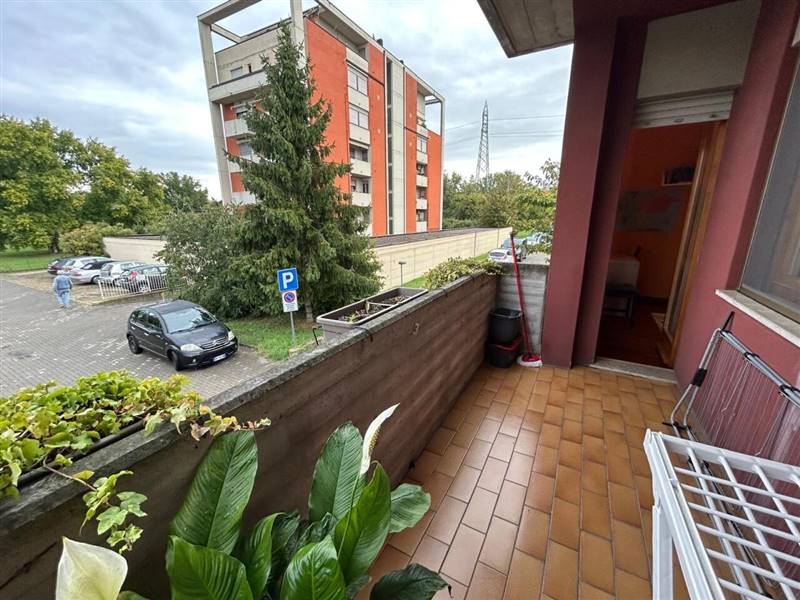 Immagine WhatsApp 2025-10-01 ore 09.19.43_5947eba5