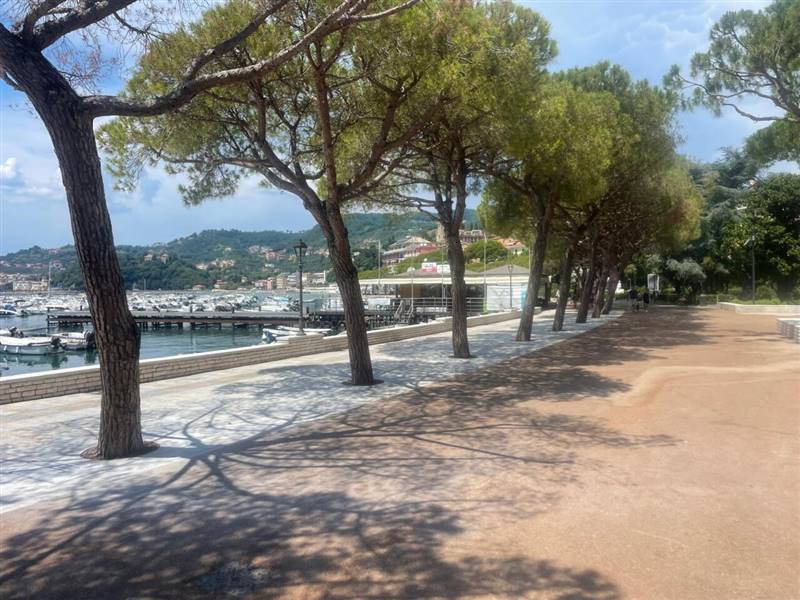 Immagine WhatsApp 2025-07-01 ore 14.34.23_9284ab6c