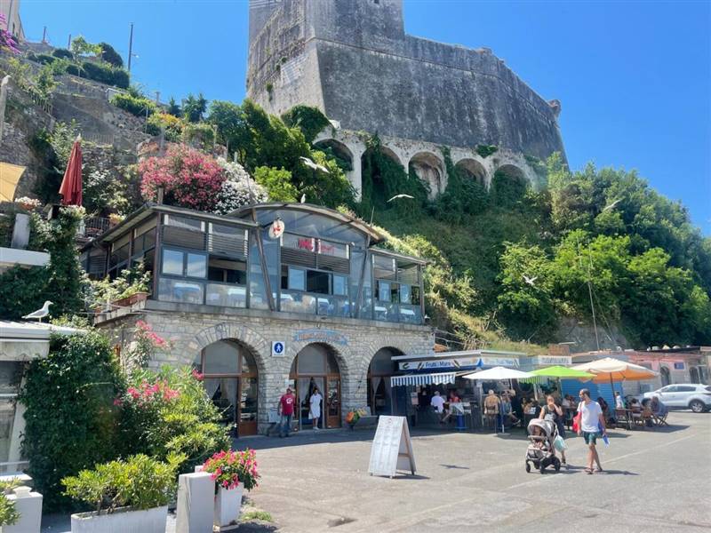 Immagine WhatsApp 2025-07-01 ore 12.29.45_73ed9f09