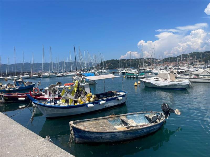 Immagine WhatsApp 2025-07-01 ore 12.29.45_d4878c7b