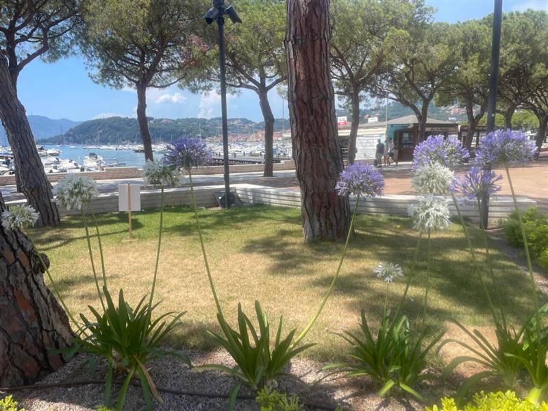 Immagine WhatsApp 2025-07-01 ore 14.34.23_2eb18568