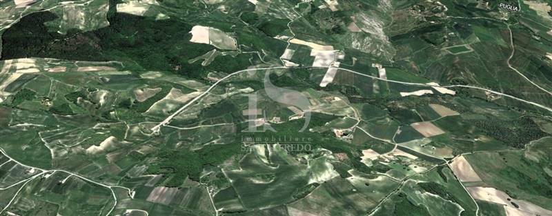 Vendita Terreno Agricolo