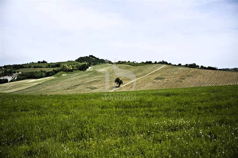 Vendita Terreno Agricolo