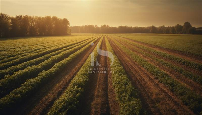Vendita Terreno Agricolo