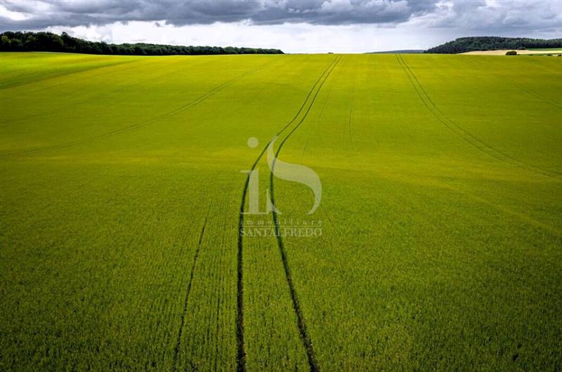 Vendita Terreno Agricolo