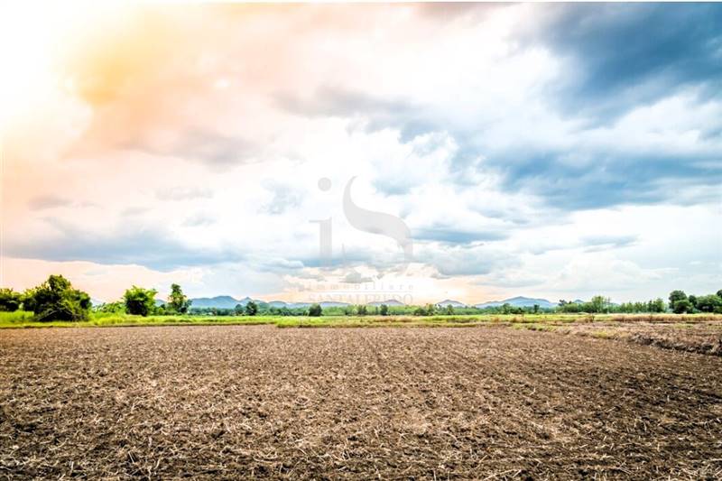 Vendita Terreno Agricolo