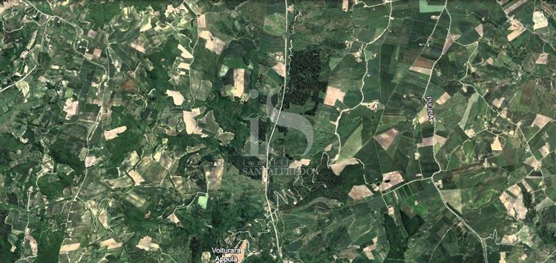 Vendita Terreno Agricolo