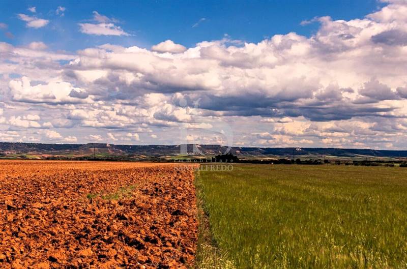 Vendita Terreno Agricolo