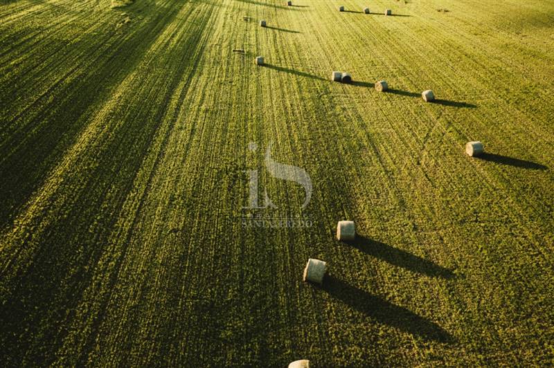 Vendita Terreno Agricolo