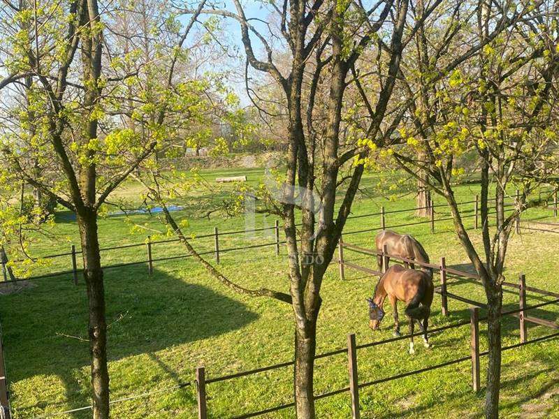 Lodi Maneggio in Vendita