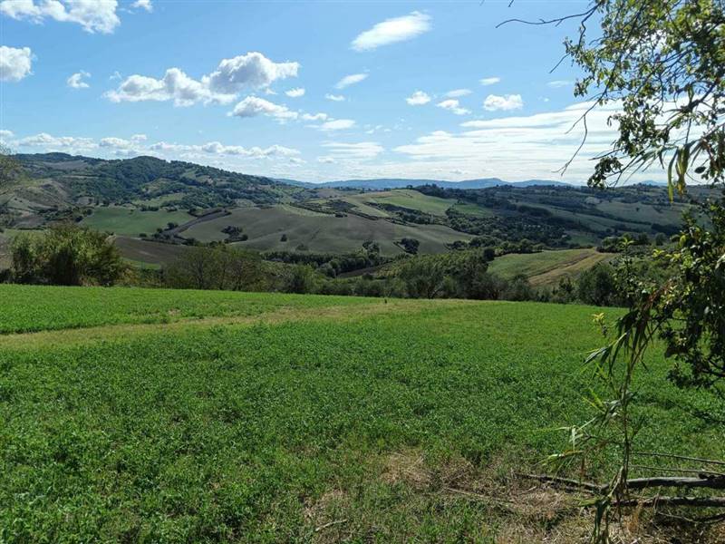 WhatsApp Image 2024-09-17 at 11.49.10.jpeg