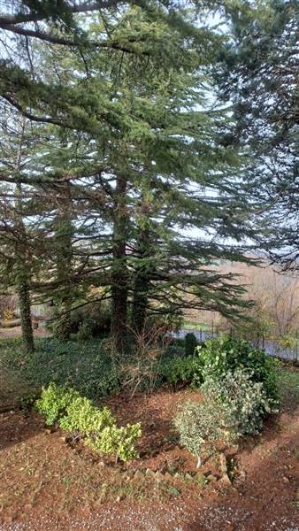 20221209_110408 - Copia.jpg