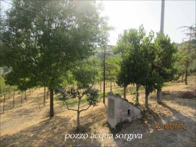 Video Montefiore_0.08.11.05.jpg