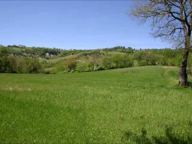 Video Montefiore_0.20.05.08.jpg