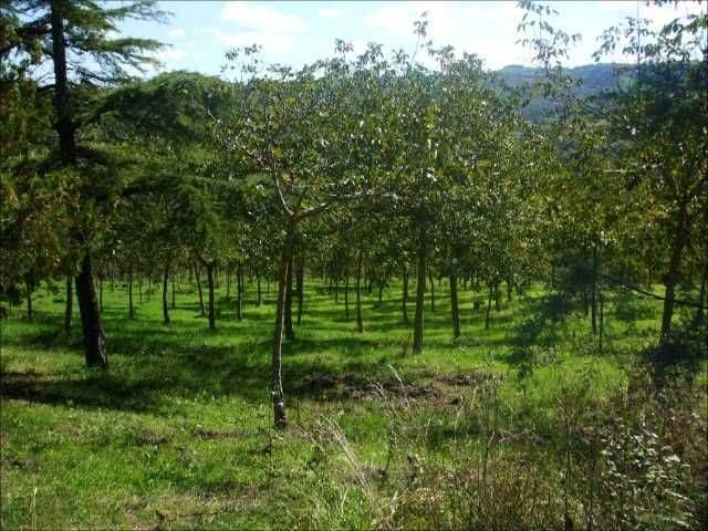 Video Montefiore_0.14.16.28.jpg