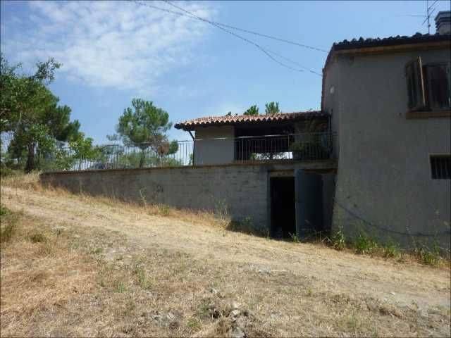 Video Montefiore_0.05.49.05.jpg