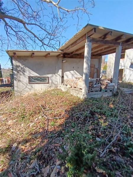 photo1706615783 (4).jpeg