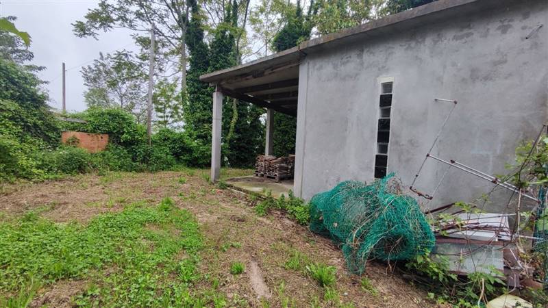 photo1685371363 (3).jpeg