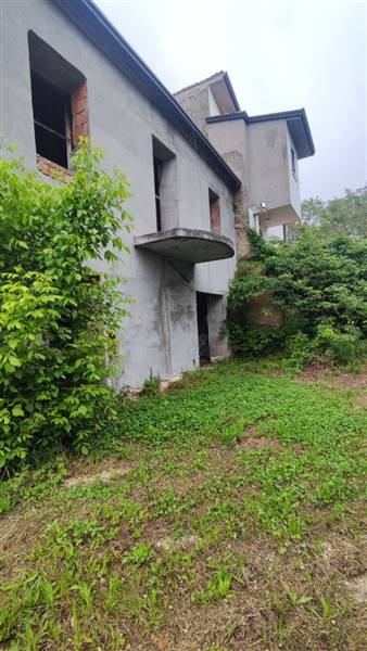 photo1685371363 (1).jpeg