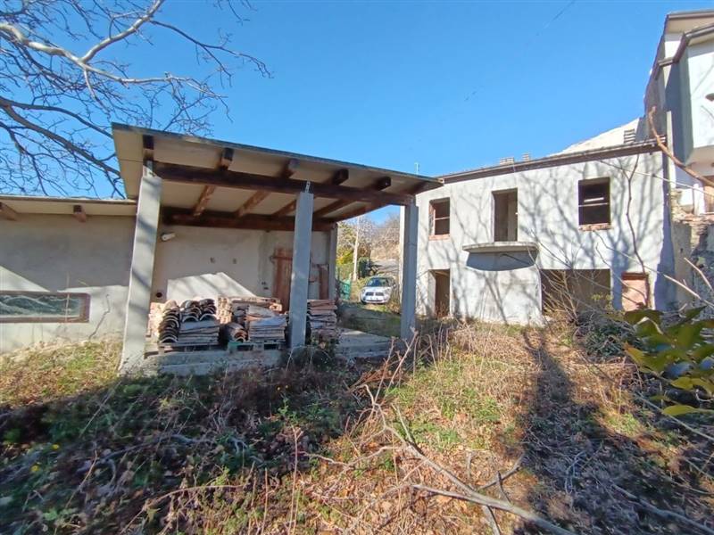 photo1706615775 (2).jpeg