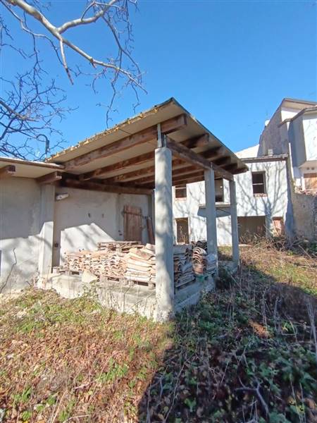 photo1706615783 (5).jpeg