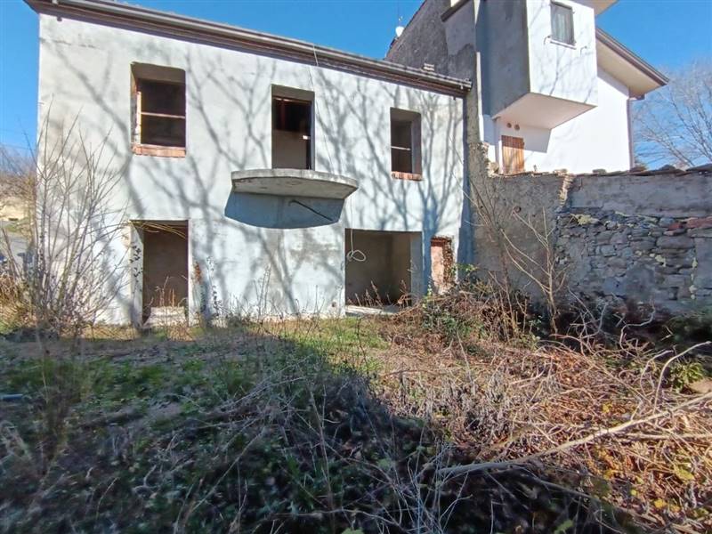 photo1706615775 (5).jpeg