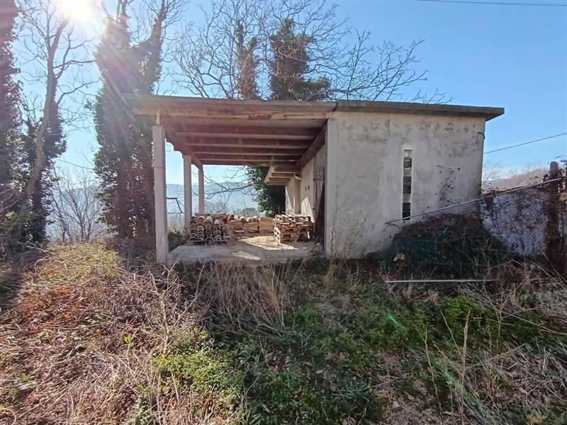 photo1706615779 (4).jpeg