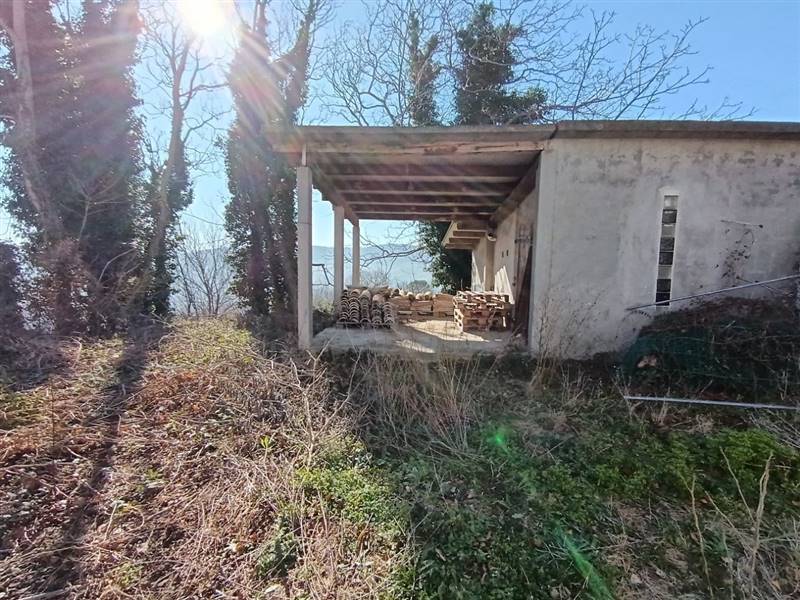 photo1706615779 (2).jpeg