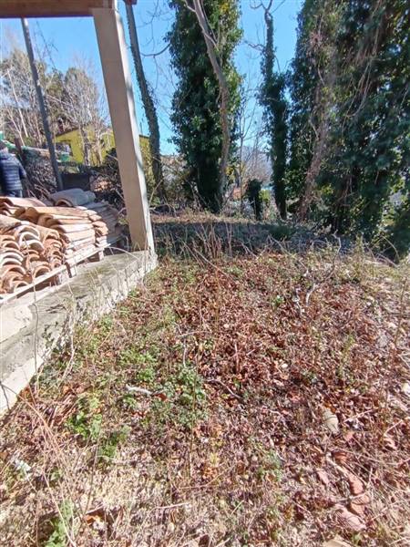 photo1706615783 (1).jpeg