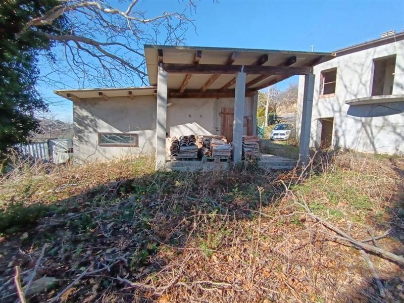 photo1706615775 (1).jpeg