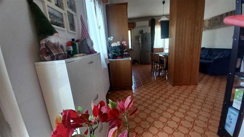 WhatsApp Image 2024-06-11 at 12.28.10 (1).jpeg