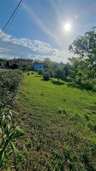 WhatsApp Image 2024-08-08 at 15.23.15.jpeg