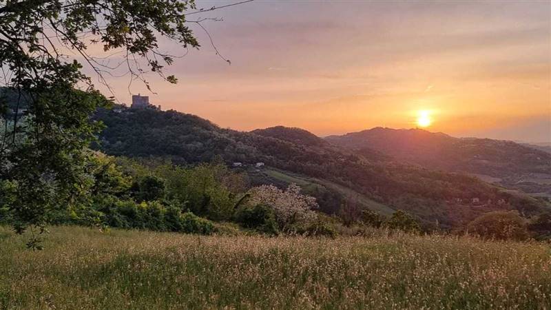 WhatsApp Image 2024-08-08 at 15.24.35.jpeg