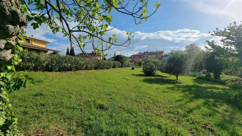 WhatsApp Image 2024-08-08 at 15.23.16 (2).jpeg