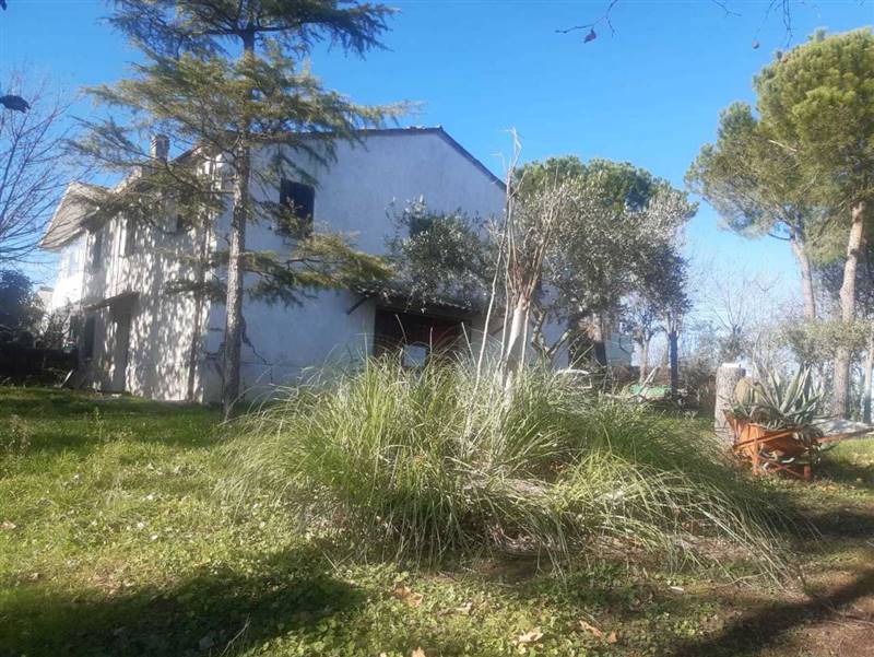 WhatsApp Image 2025-01-08 at 12.27.33.jpeg