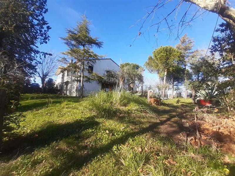 WhatsApp Image 2025-01-08 at 12.27.32 (1).jpeg