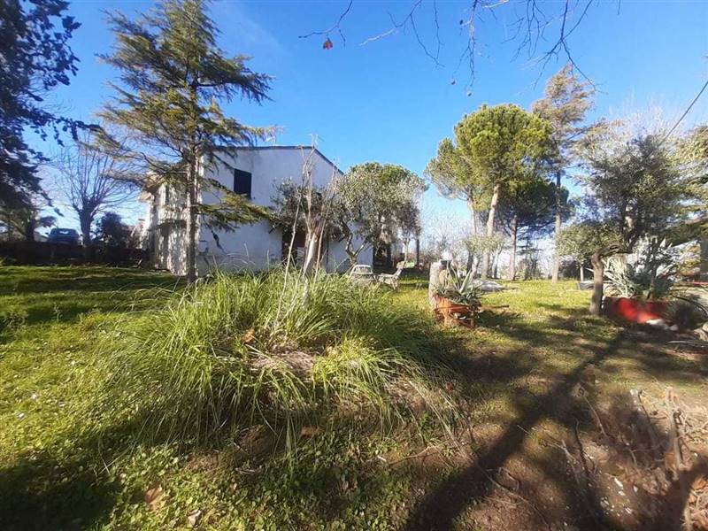 WhatsApp Image 2025-01-08 at 12.27.32.jpeg