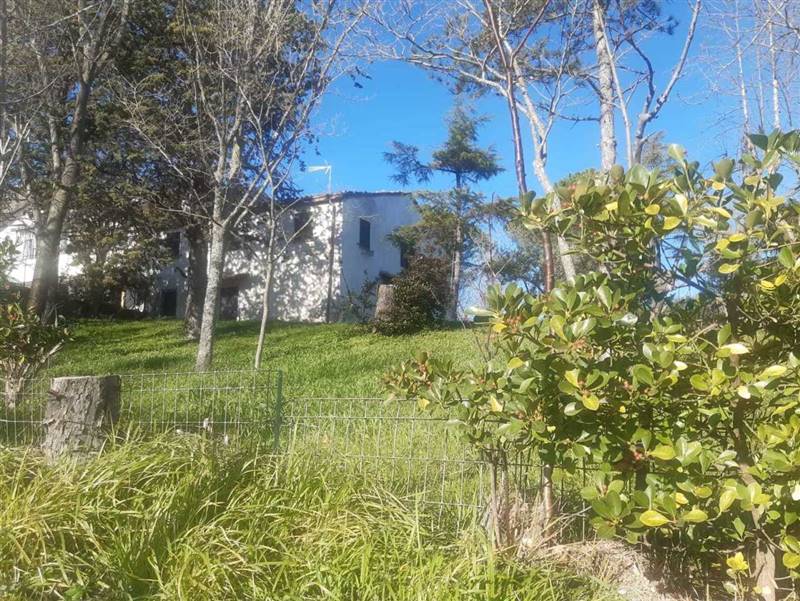 WhatsApp Image 2025-01-08 at 12.27.33 (2).jpeg