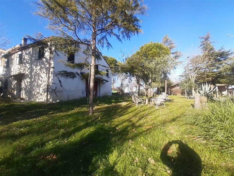 WhatsApp Image 2025-01-08 at 12.27.33 (1).jpeg