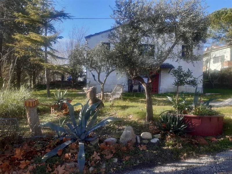 WhatsApp Image 2025-01-08 at 12.27.31.jpeg