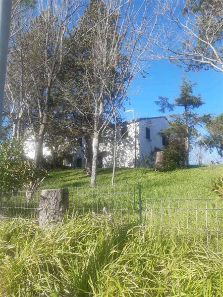 WhatsApp Image 2025-01-08 at 12.27.34.jpeg