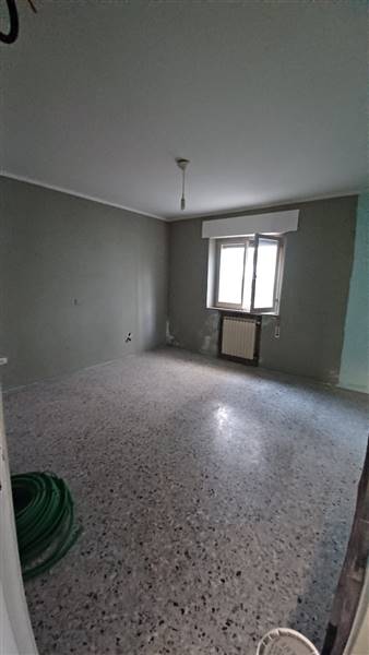 20241018_144503 (1).jpg