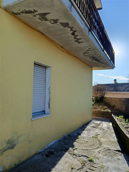 5920047810181449314 - Copia.jpg