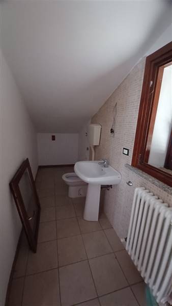 20250201_113822 (1).jpg