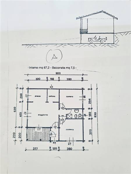 20250319_101228 (1).jpg