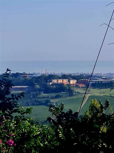 WhatsApp Image 2025-09-23 at 11.32.16.jpeg