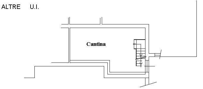 planimetria cantina 1.jpg