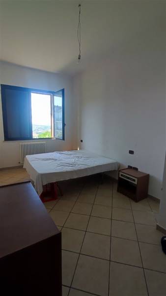 photo1690621608 (1).jpeg