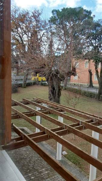 IMG-20260120-WA0028 (1).jpg