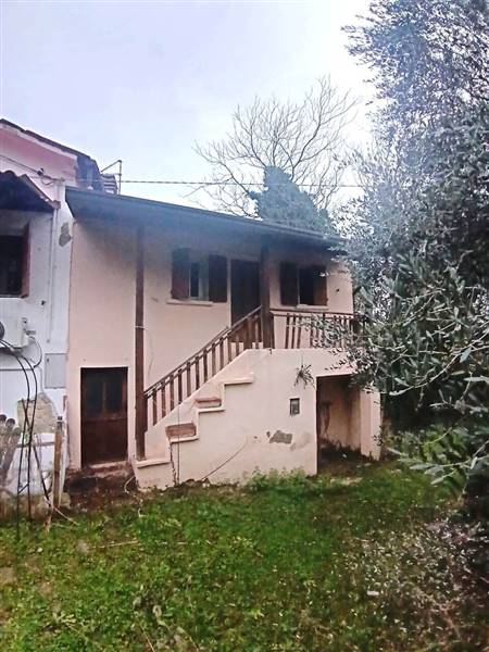 WhatsApp Image 2026-01-26 at 12.26.34.jpeg